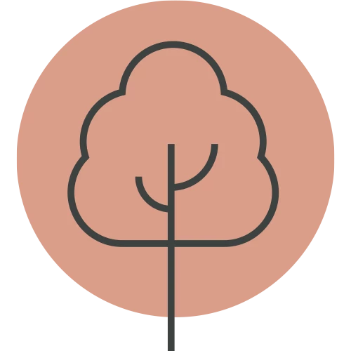 Houtboom
