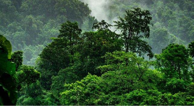 WYC_unsplash_1-1