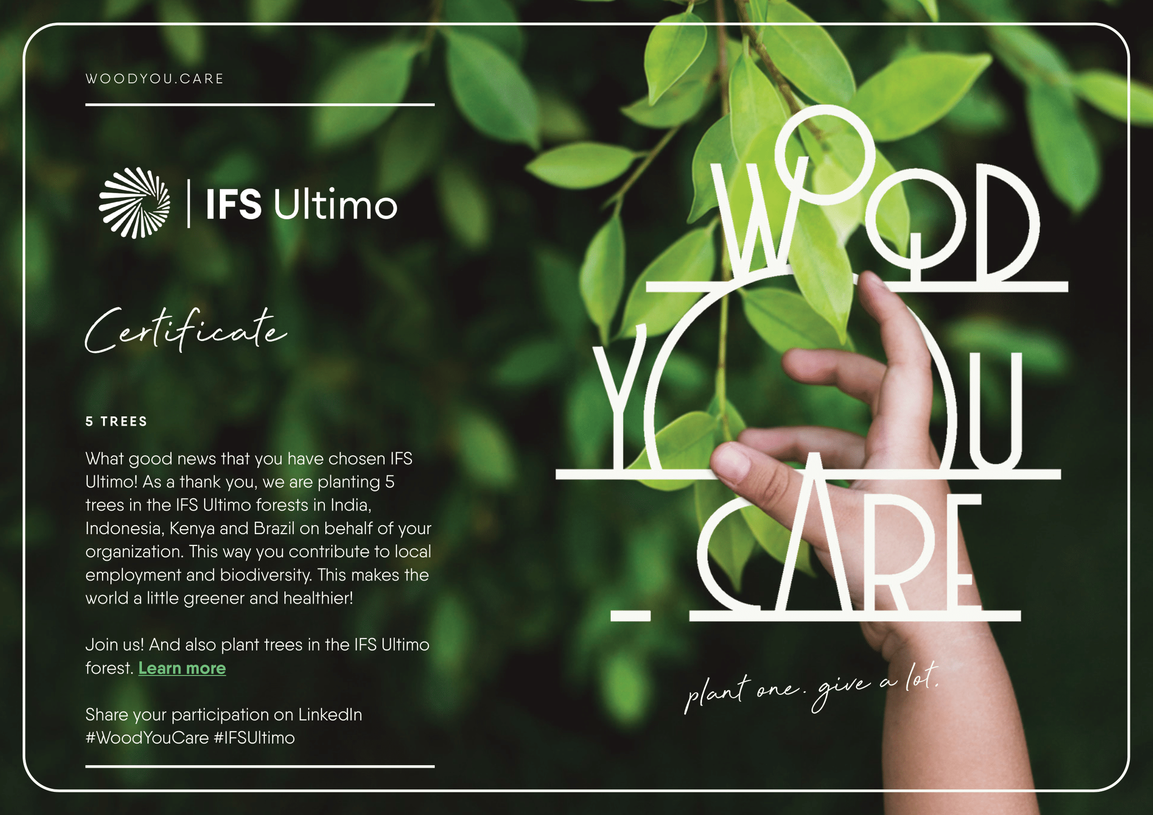 Certificate_WoodYouCare-&-IFS-Ultimo-1