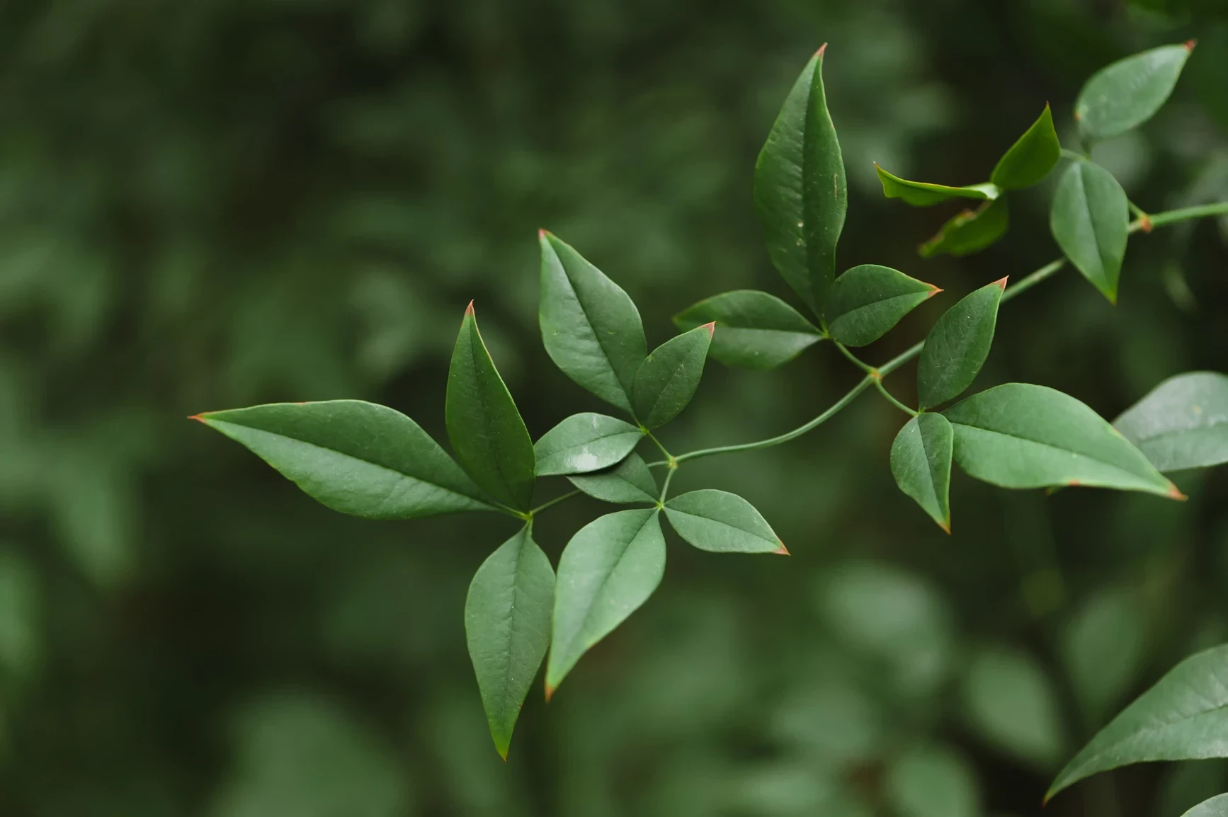 Stocksy_txpf3557546rni300_Medium_728358-webp
